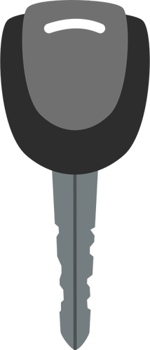 Black and grey vector image of car door key