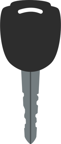 Grayscale vector image of car door key