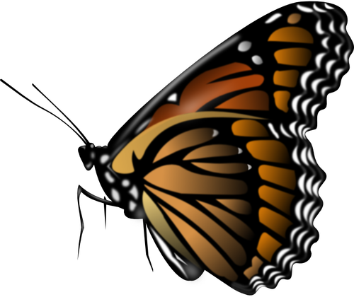Fluture monarh vector miniaturi