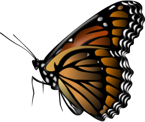 Monarch butterfly vector clip art