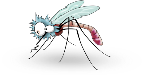יתוש חמוד