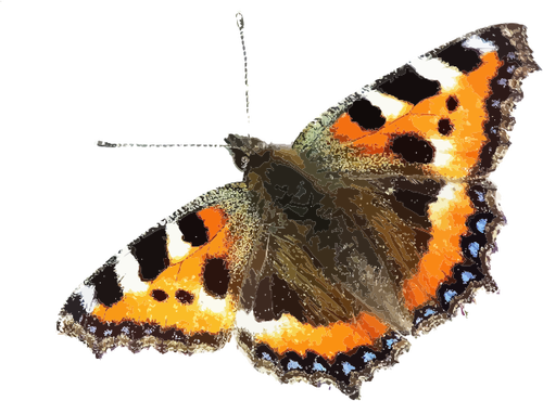 Ícone de borboleta colorida