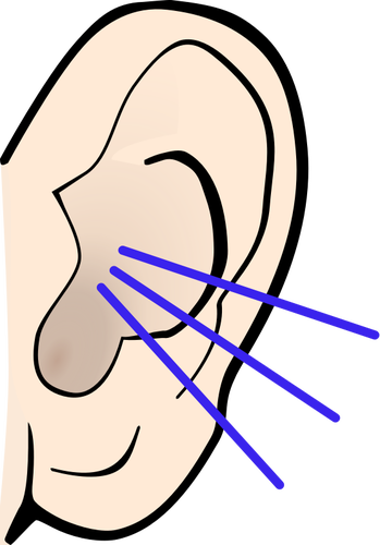 Vector de la imagen del oído escucha color
