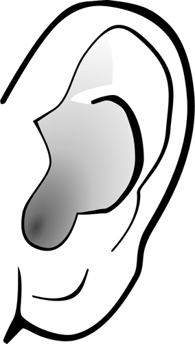 Grayscale image of ear