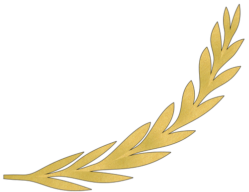 Olive branch in goud