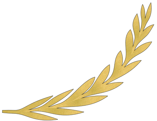 Olive branch in gold