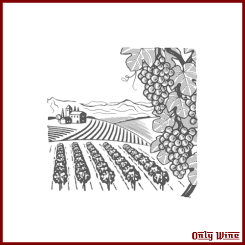 Illustrazione di iarda del vino