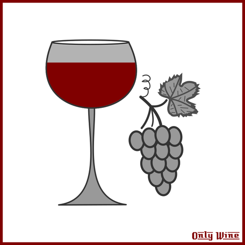 葡萄酒和葡萄的图像