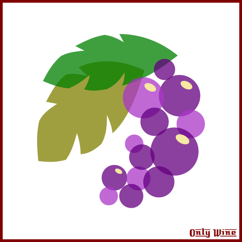 Imagen de uvas moradas