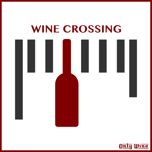 ワインのラベル 3