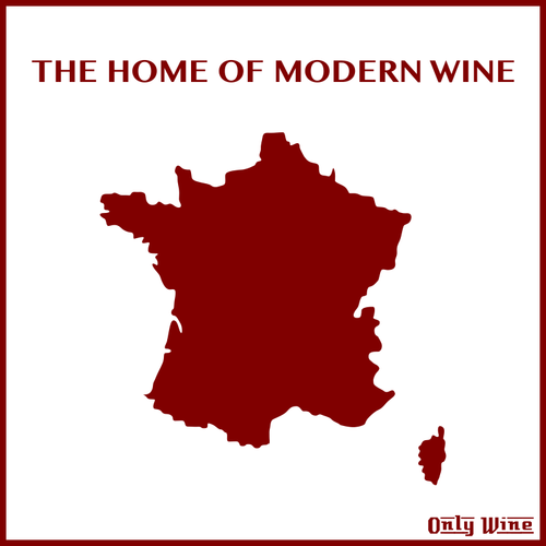 בית מודרני יין