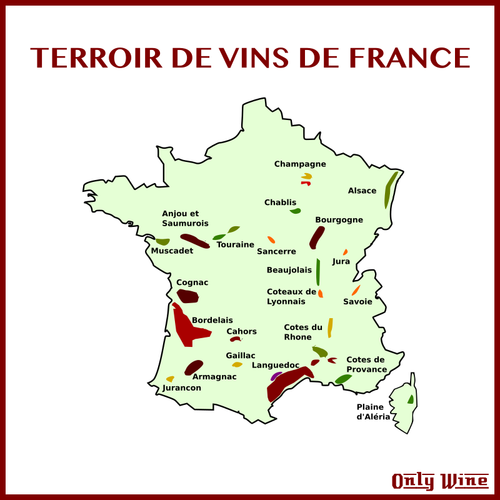 Terra de vinho