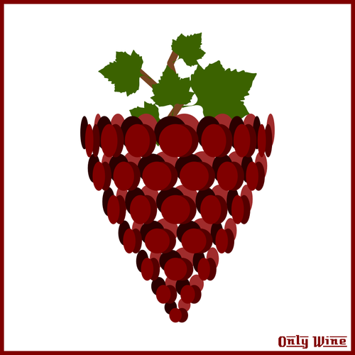 Красный виноград артистических