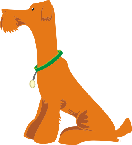 Orange chien assis