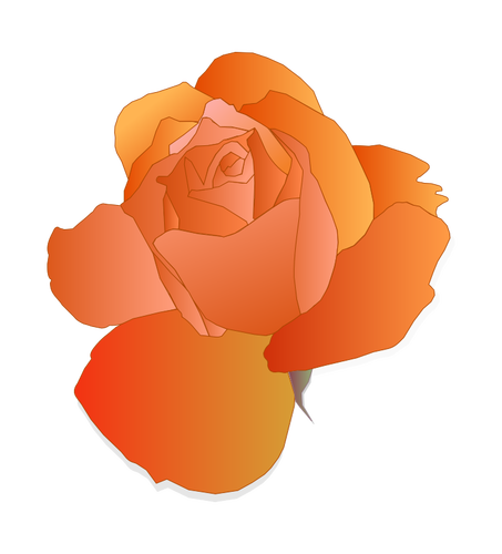 Pomarańczowy rose