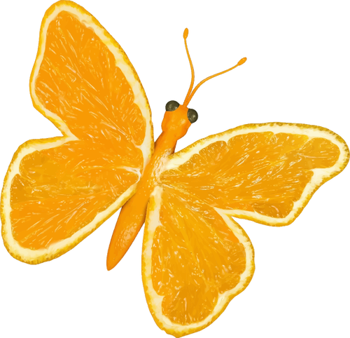 柑橘的蝴蝶