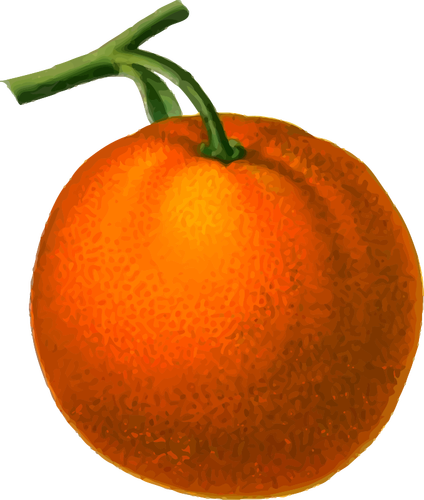 पका हुआ नारंगी