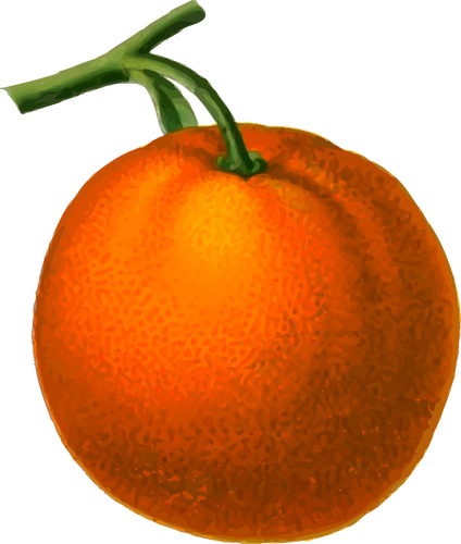 Mogen orange