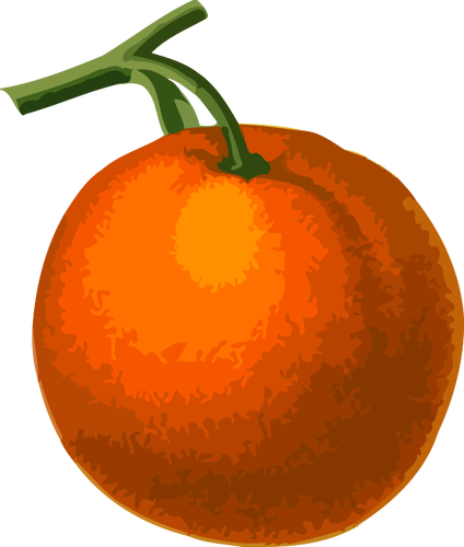 فاكهة البرتقال
