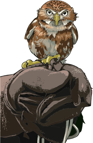 Owl uppflugen på behandskade hand