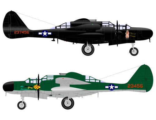 Black widow plane