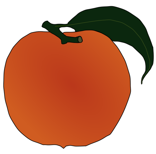 Персиков векторное изображение