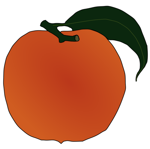 Peach vector image