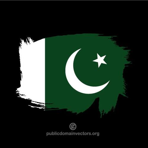 Målade flagga Pakistan