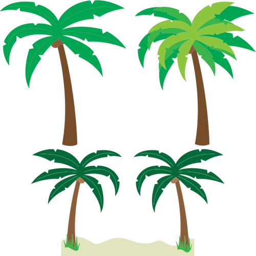 Palm trees