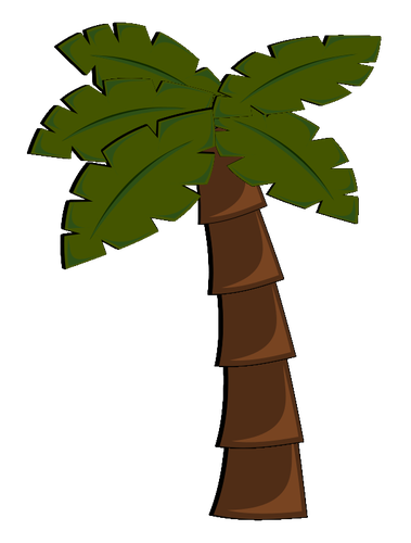 Palm tree vector image