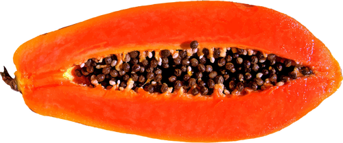 Rebanada de papaya