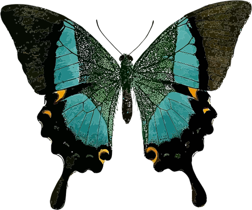 Символ Голубая бабочка