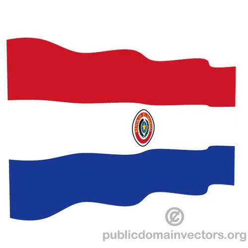 波浪的巴拉圭国旗