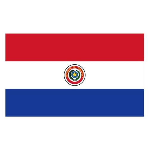 巴拉圭的旗帜
