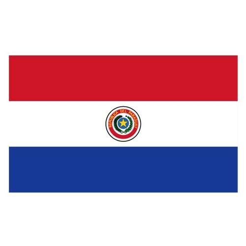 Vlag van Paraguay