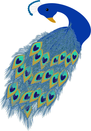 Graphics of blue peacock tail and head