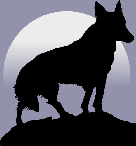 Silhouette de loup en face de l