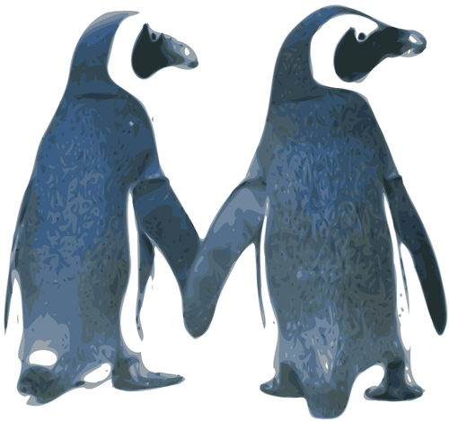 Vector image of penguins