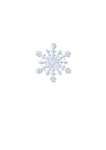 Snowflake vector icon