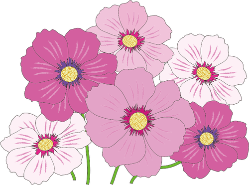 분홍색과 흰색 꽃