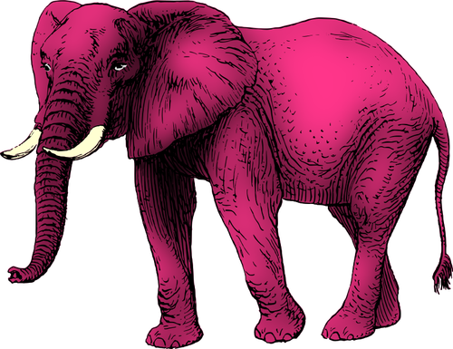 Gajah Pink klip