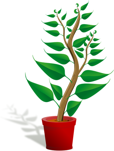Green plant pot vector illustration