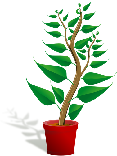 Green plant pot vector illustration