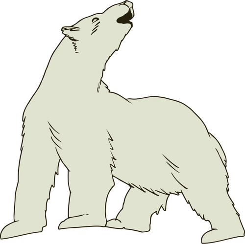 Polar bear vector image