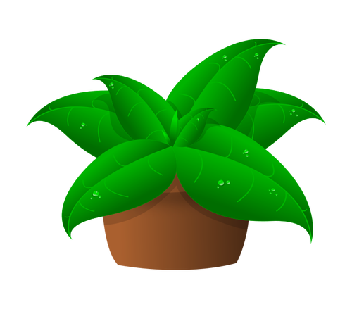 Vector drawing of large green leaves plant in pot