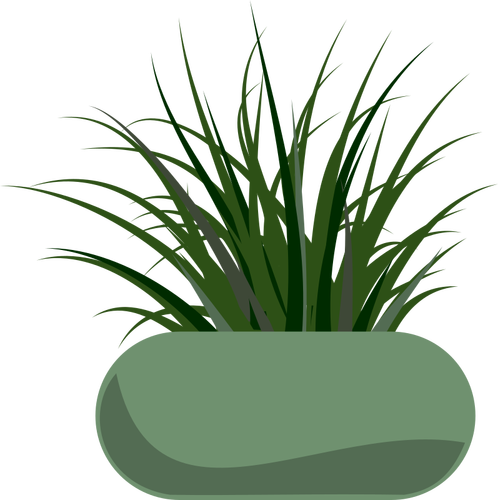 Vektorgrafiken von Gras in eine grüne moderne Pflanzgefäß gepflanzt