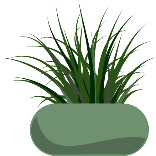 Vector graphics of grass planted in a green modern planter