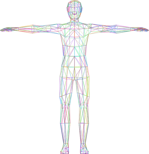 Obraz kolorowy model szkieletowy człowieka