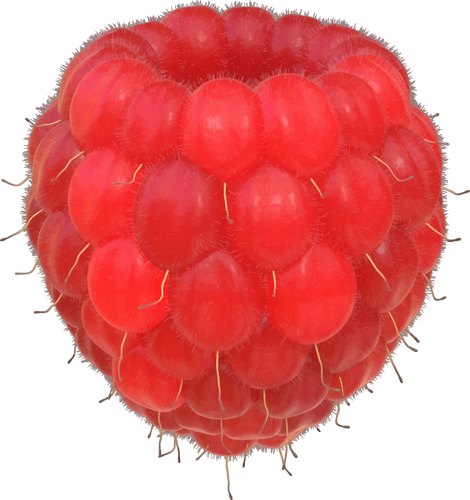 Image de framboise