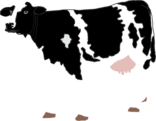 Cow drawing